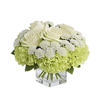 Delicate Petal Cascade