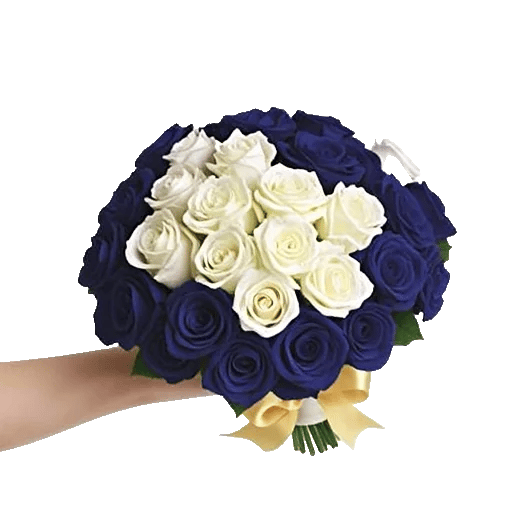 Ivory Garden Grace