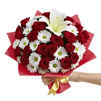 Crimson Rose Elegance