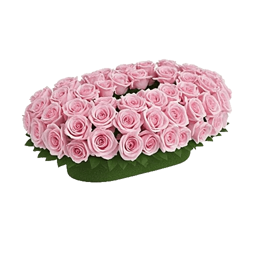Pink Pastel Roses