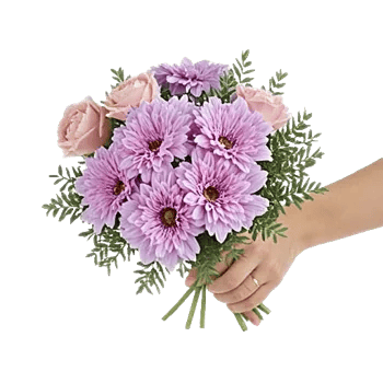 Petal Softness Display