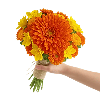 Vibrant Orange Delight