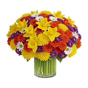 Petal Radiance Bliss