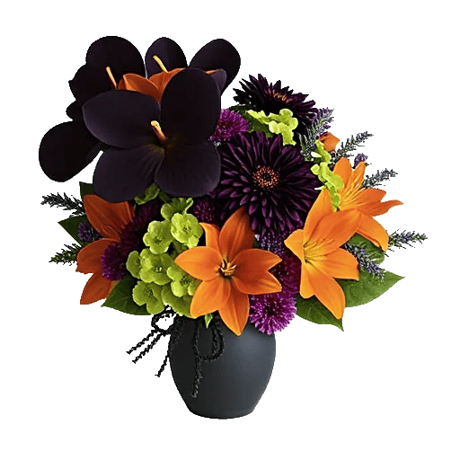 Modern White Orchids