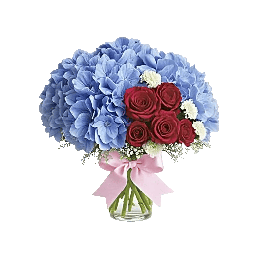 Sapphire Bloom Whisper