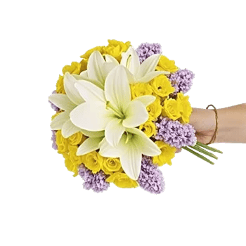 Blossom Harmony Display