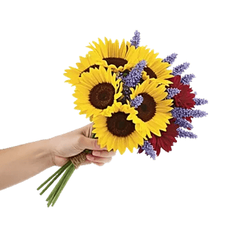 Radiant Bloom Cascade