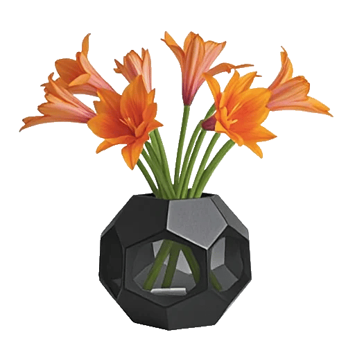 Petal Radiance Bliss