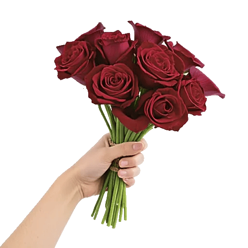 Crimson Rose Elegance
