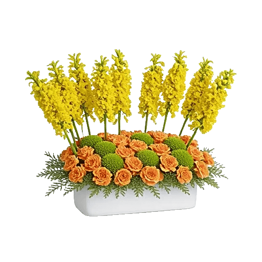 Modern White Orchids