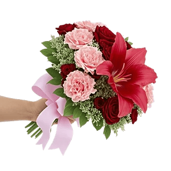 Blushing Rose Symphony