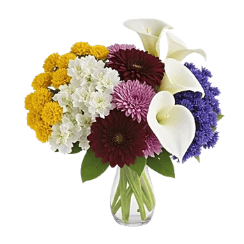 Radiant Bloom Cascade