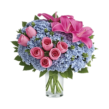 Blossom Petal Serenity