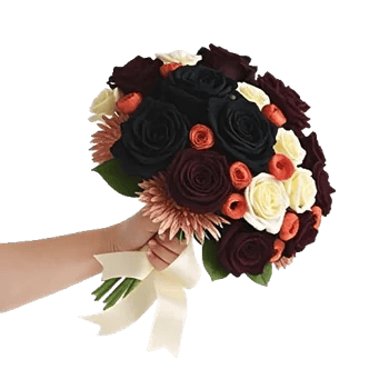 Blushing Rose Symphony