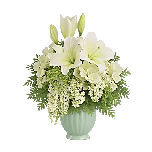 Ivory Blossom Radiance