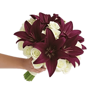 Blushing Rose Symphony