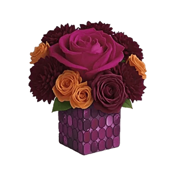 Petal Radiance Bliss