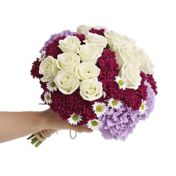 Delicate Petal Cascade