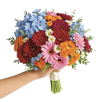 Blossom Petal Serenity