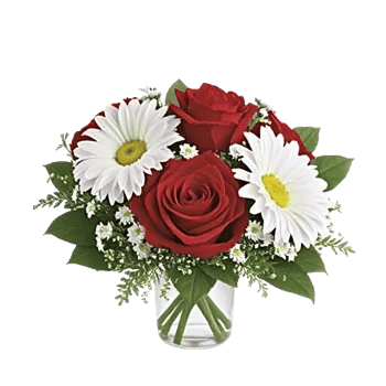Tulip Rose Mix