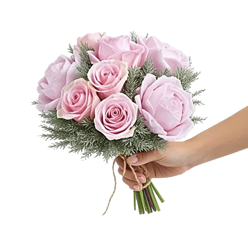 Pastel Pink Roses