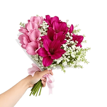 Blossom Radiant Whisper