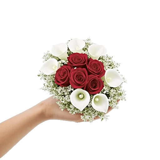 Blushing Rose Symphony