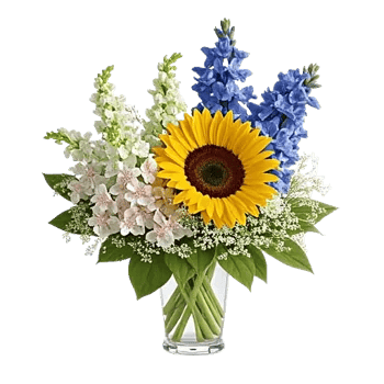 Ivory Blossom Radiance