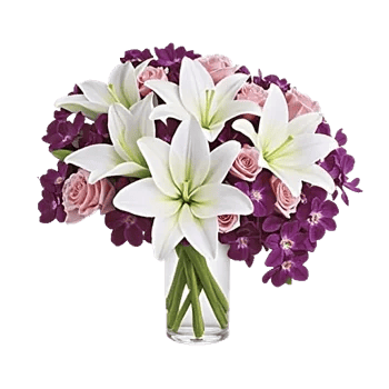 Orchid Bloom Cascade