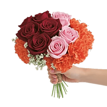 Crimson Rose Elegance