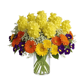 Petal Radiance Bliss