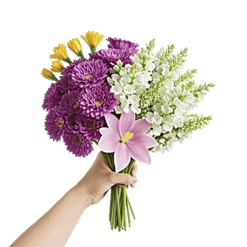 Blossom Harmony Display