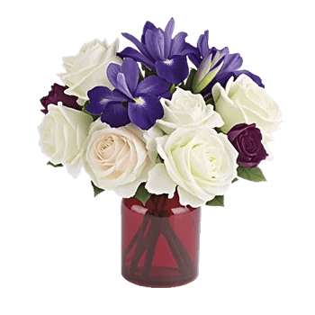 Ivory Blossom Radiance