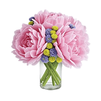 Petal Radiance Bliss