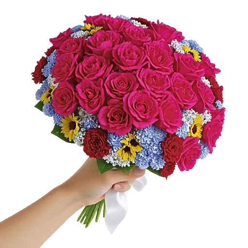 Pastel Pink Roses