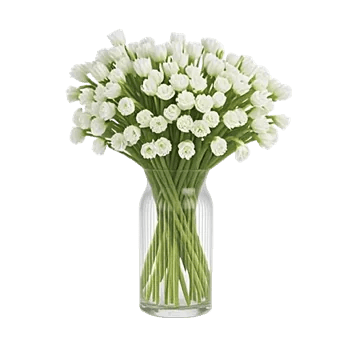 Ivory Blossom Radiance
