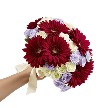 Crimson Blossom Harmony
