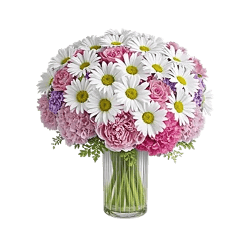 Petal Radiance Bliss