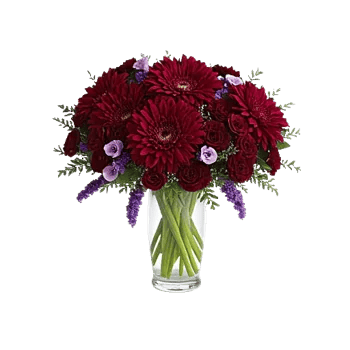 Crimson Blossom Harmony