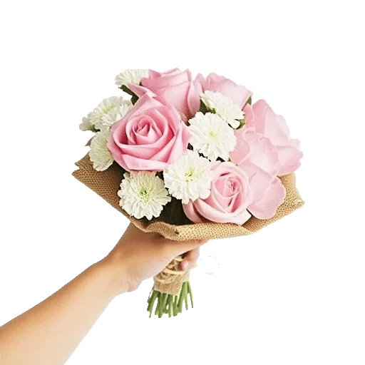 Pastel Pink Roses