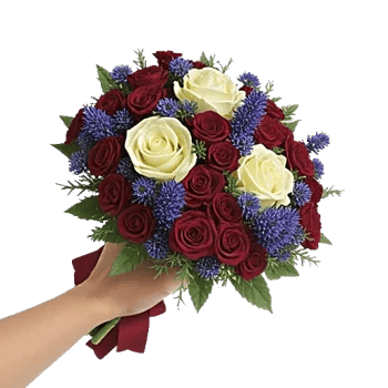 Crimson Rose Elegance