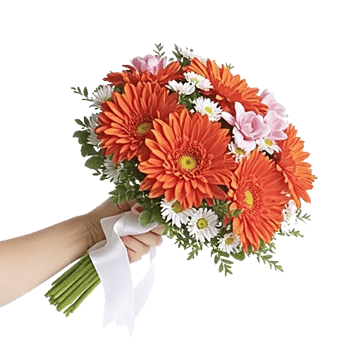 Petal Harmony Bliss
