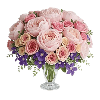 Petal Radiance Bliss