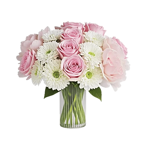 Petal Radiance Bliss