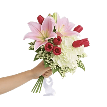 Graceful Lily Display