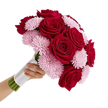 Crimson Rose Elegance