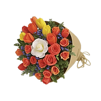 Tulip Rose Mix