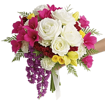 Delicate Petal Cascade