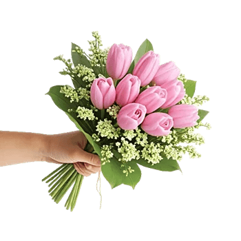 Blossom Harmony Display