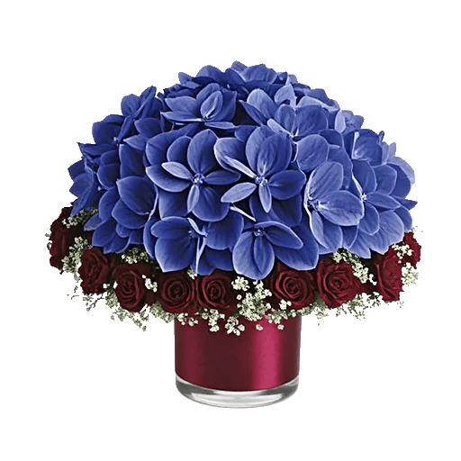 Sapphire Bloom Whisper